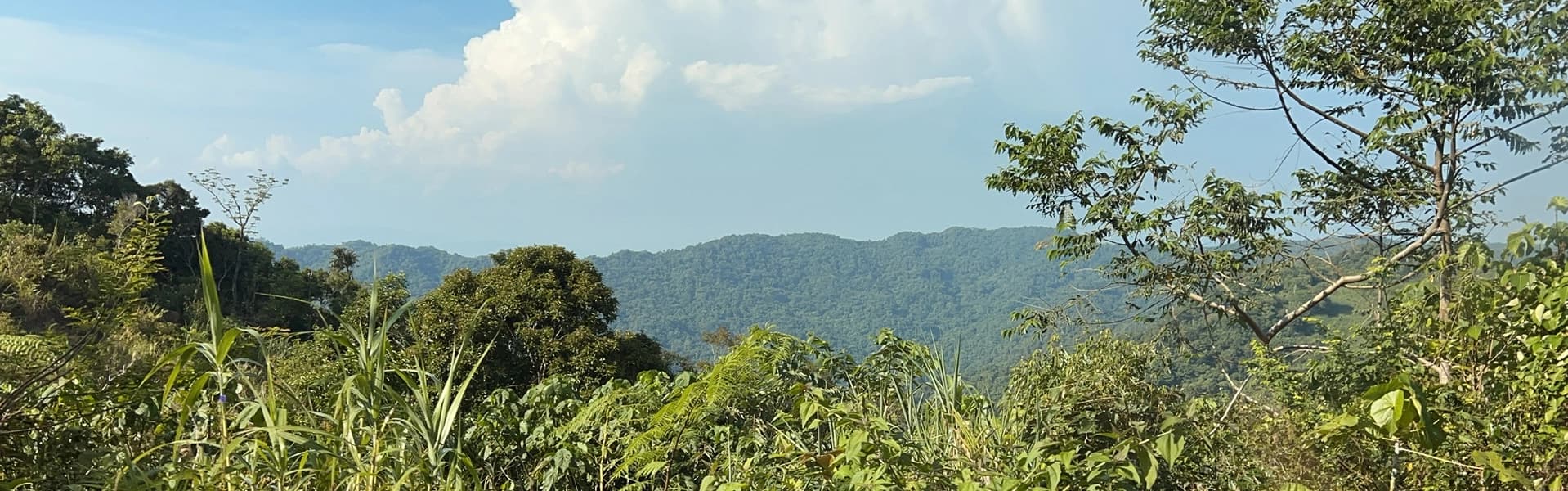 Banner Image of Our Pratners