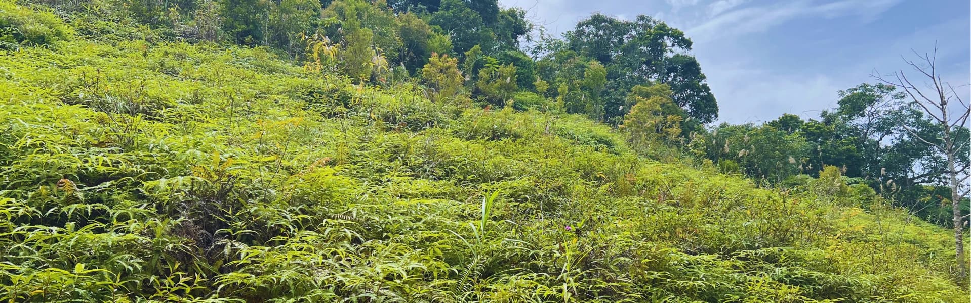 Banner Image of Our Purpose