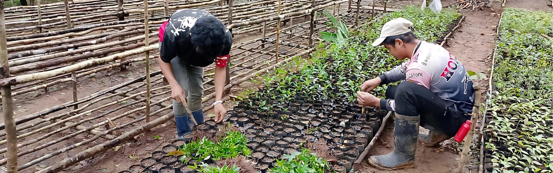 Banner Image of Our Work